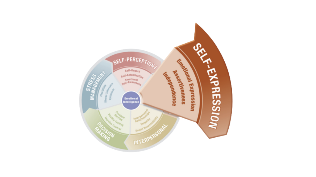 This is one scale of EI, the self expression scale where assertiveness falls into.