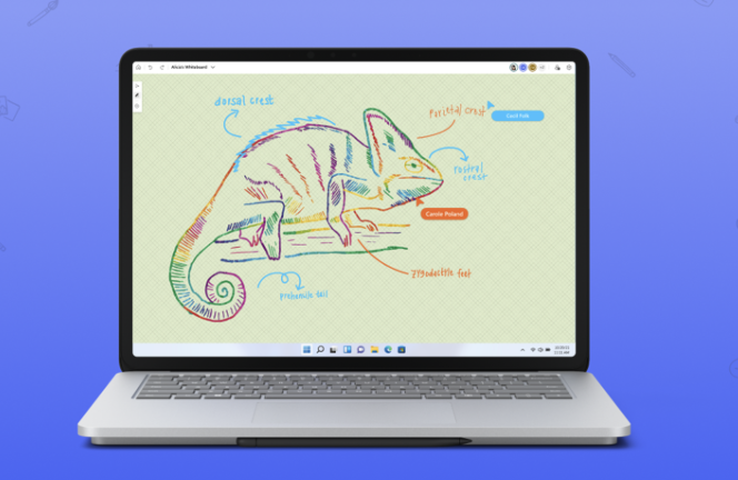 This picture is of a drawing of a lizard and showcases the tools on offer to coach clients visually.